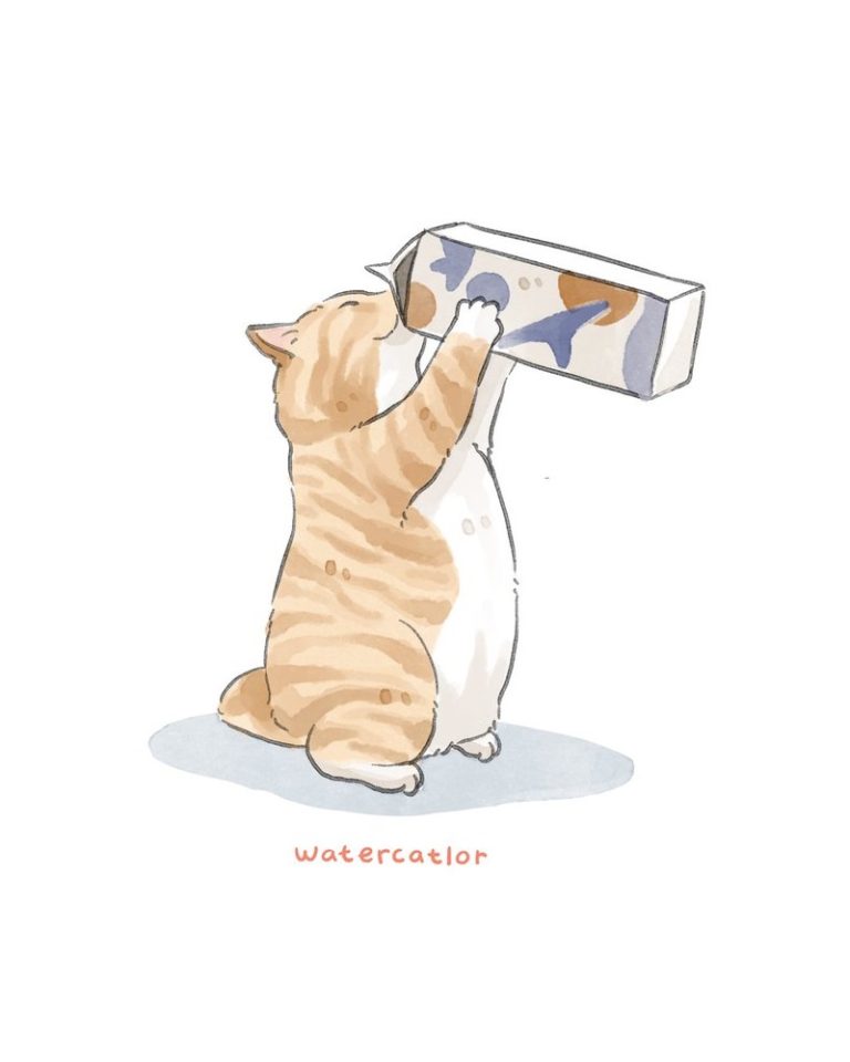 Introducing: Watercatlor By Amelia Rizky