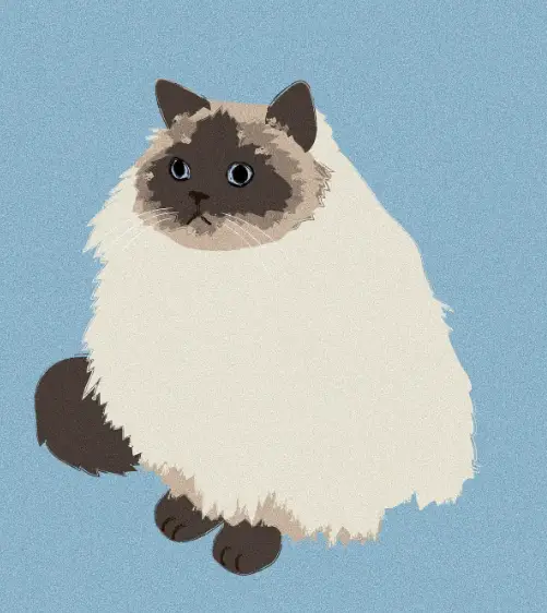 This Week’s 3 Instagram Cat Artists: A Japanese, A Korean & A Taiwanese Walk Into A Cat Cafe.